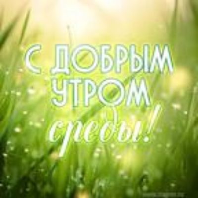 Гороскоп Доброе Утро 29.03 2023