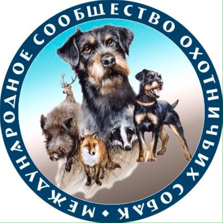 Сообщество собак. Сообщество собак. Сообщество собак. Лабрадор ретривер цвета. Сообщество собак.