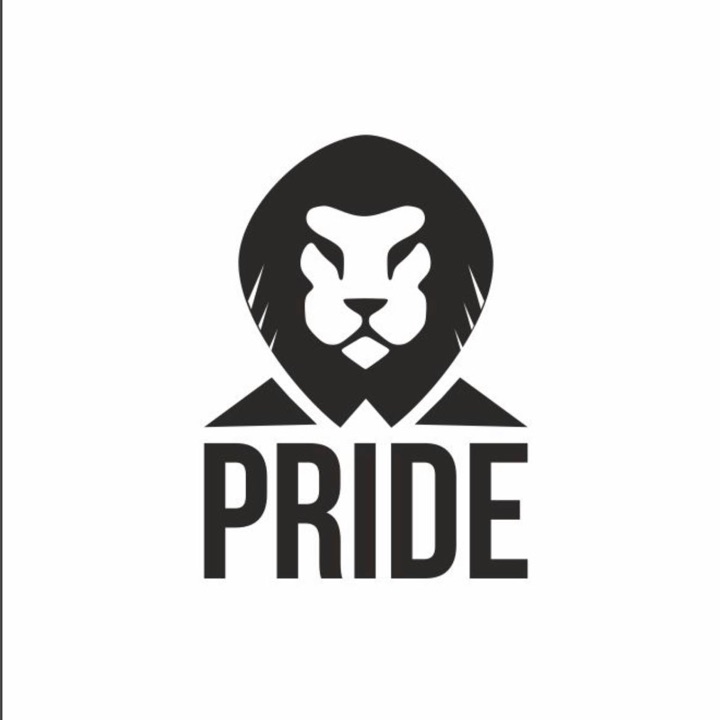 Юридическая компания прайд нижний новгород. Прайд групп недвижимость. Pride company. Прайд фирма. Pride company.