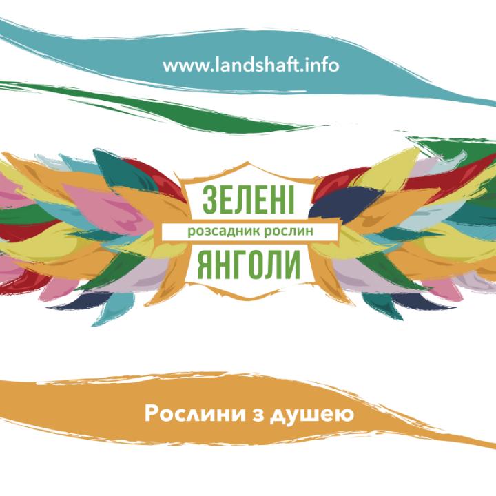 Интернет Магазин Зелени Янголи В Украине