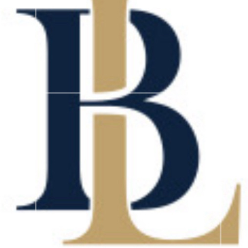 Bl services solutions