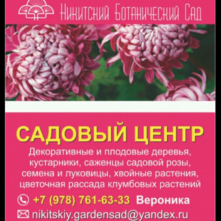 Садовый Центр Никитский Сад Интернет Магазин
