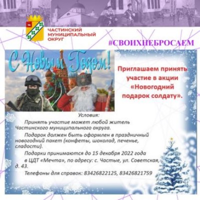 Примеры поздравлений солдат с новым годом
