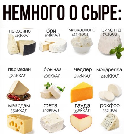 В каком сыре мало соли. В каком сыре мало соли