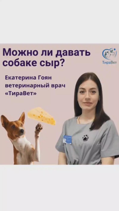 как отреагировал ветеринар на просьбу о помощи