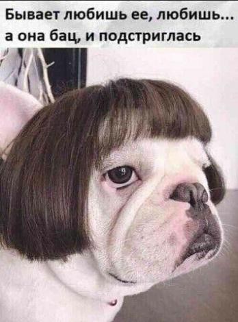 Музыкальный профиль minochorino Last.fm