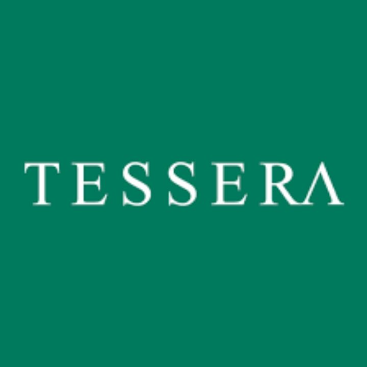 Tessera Jewelry